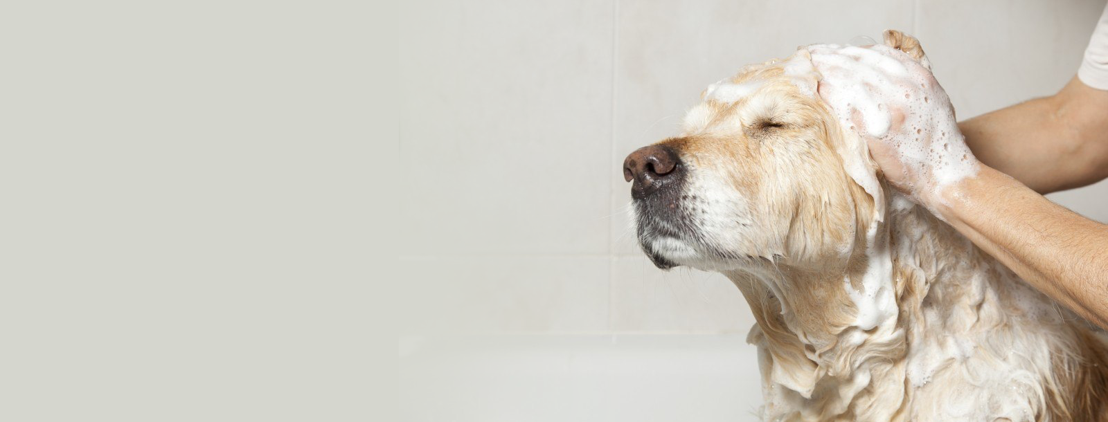 BANYO & SPA