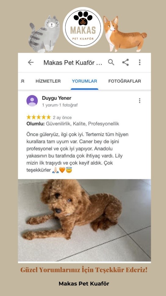 Etiler Pet Kuaför