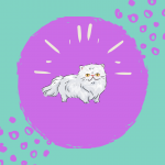 Kedi Makas Traşı